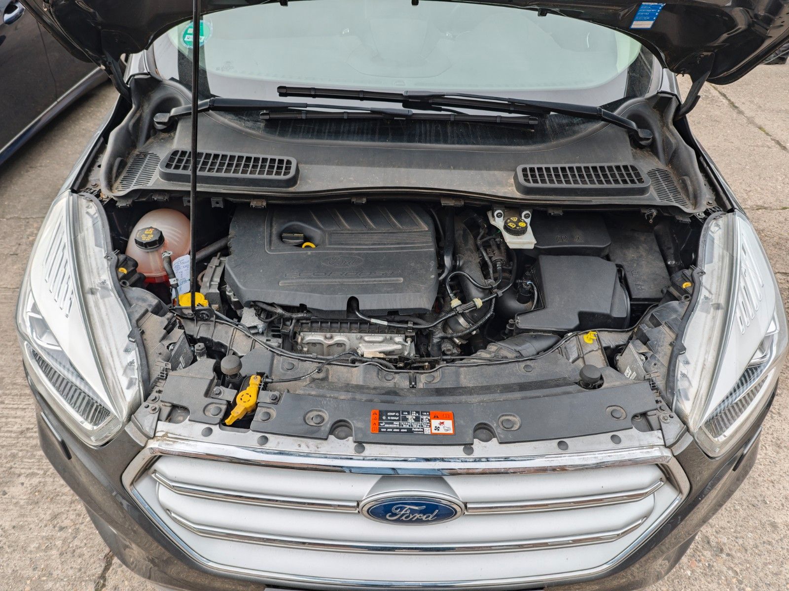 Fahrzeugabbildung Ford Kuga Titanium